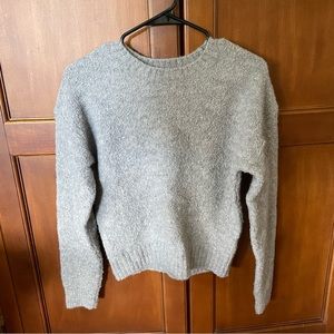 Everlane Teddy Crew neck Sweater